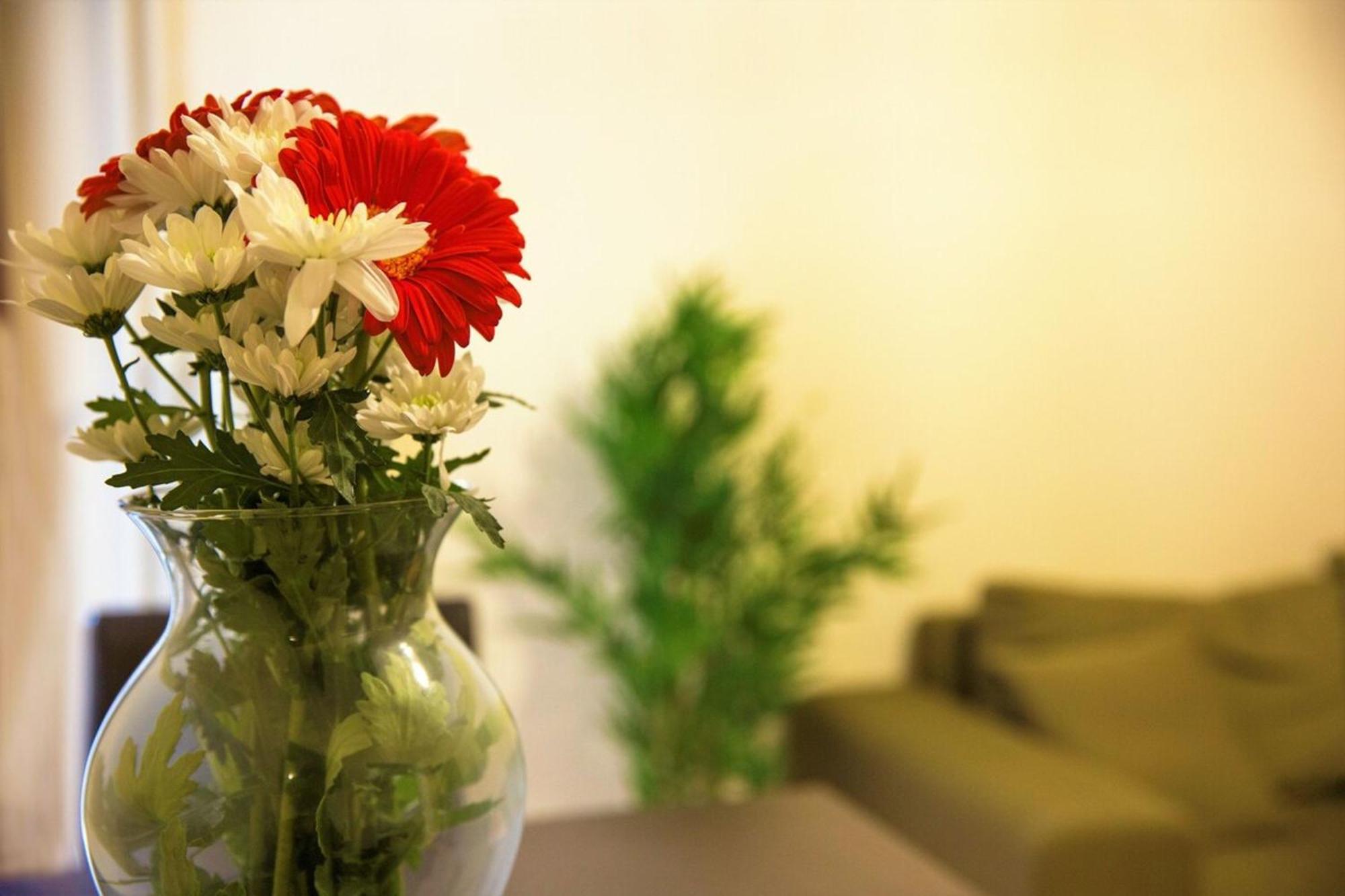 Peaceful Renovated Apartment Near Lycabettus Hill Aten Exteriör bild
